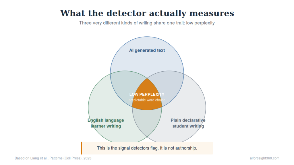 Diagram showing how AI detectors flag predictable writing patterns shared by AI and English language learners