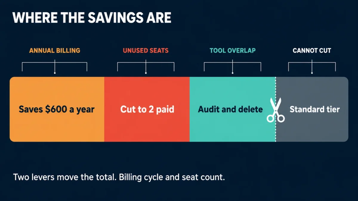 Diagram showing annual billing saves $600 a year, unused seats and tool overlap can be cut, but the standard suite tier cannot